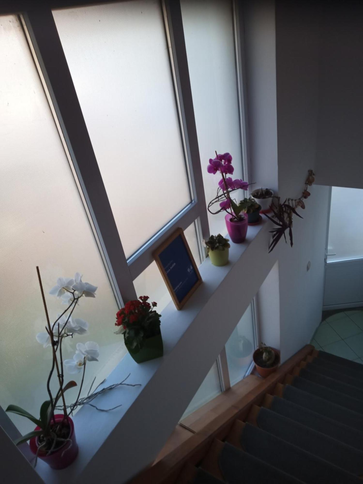 Casa Judith Турда Стая снимка